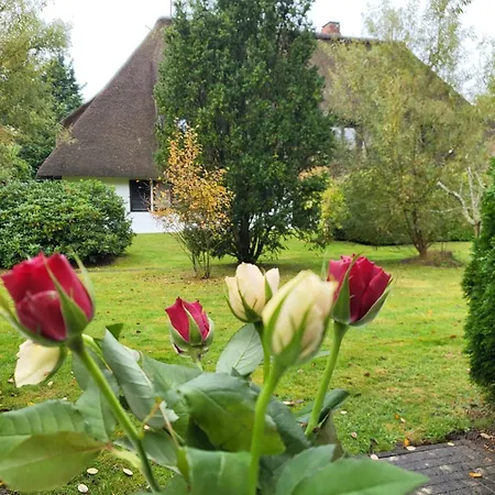 Atrium-anlage Reethaus Hallig Gröde Friesentraum Apartment Sankt Peter-Ording